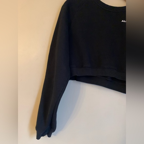 ALPHALETE Classic Crop Crewneck Sweatshirt medium - Picture 4 of 8